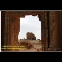17588 06 019 Resafa Syrien 2011.jpg